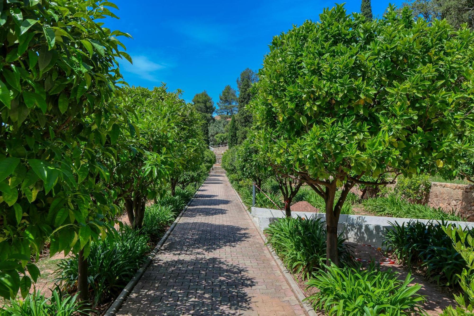 Domaine Des Gueules Cassees Ла-Валетт-дю-Вар Экстерьер фото