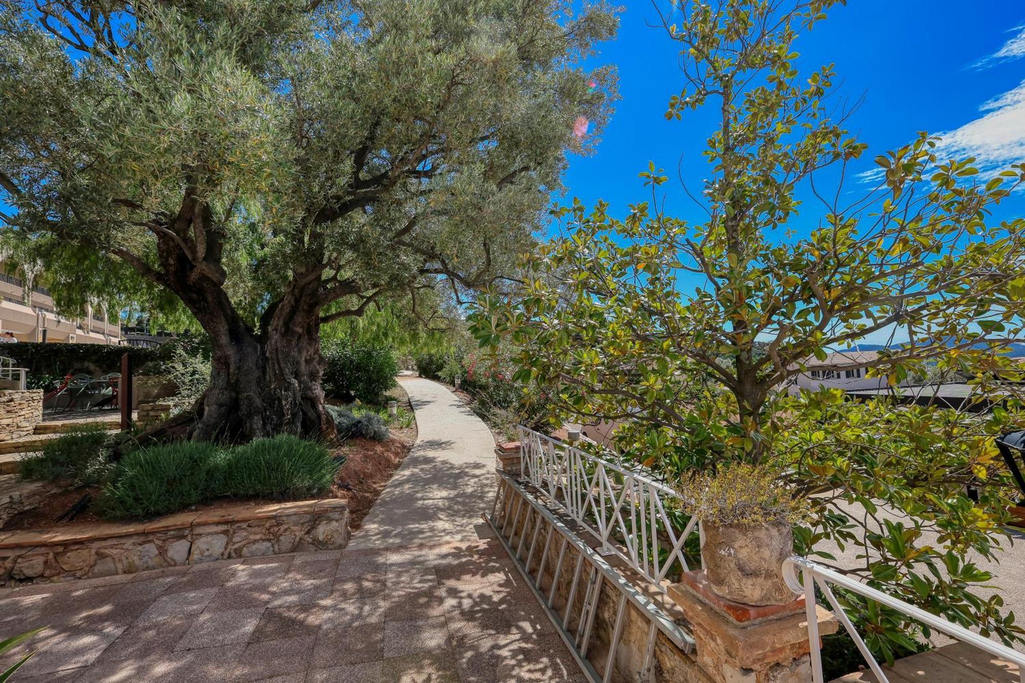 Domaine Des Gueules Cassees Ла-Валетт-дю-Вар Экстерьер фото