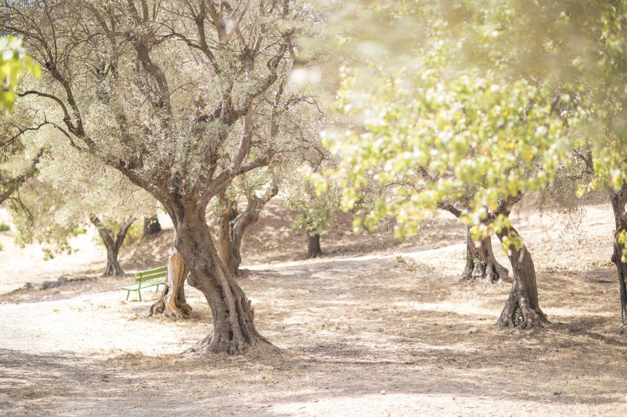 Отель Domaine Des Gueules Cassees Ла-Валетт-дю-Вар Экстерьер фото